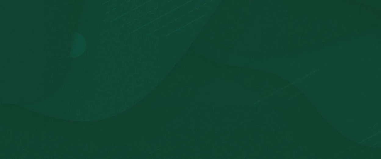 p3 item bg 1